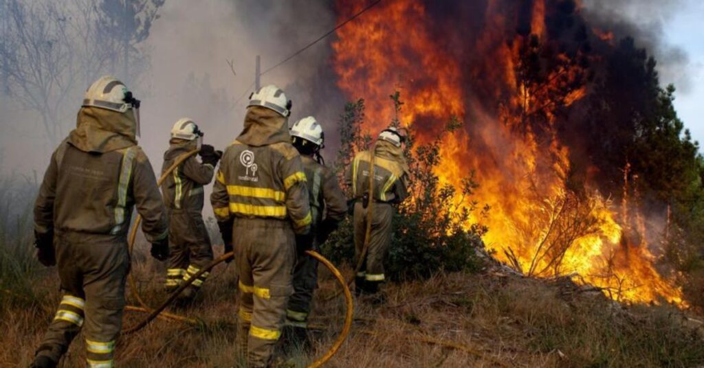Impactos ambientales de los incendios forestales