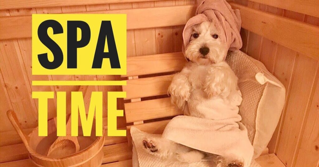 What Alternatives Are there to Life Time with Saunas and more