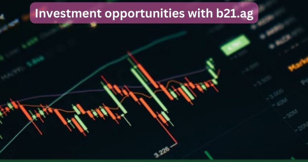 Investment opportunities with b21.ag
